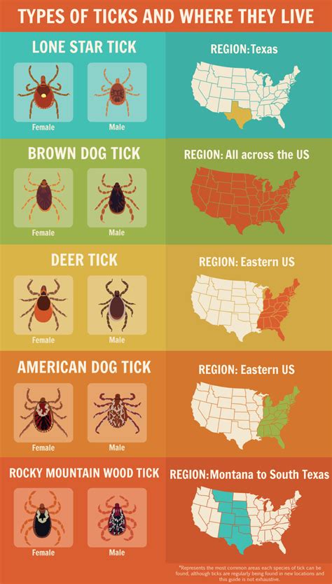 Tick Regions