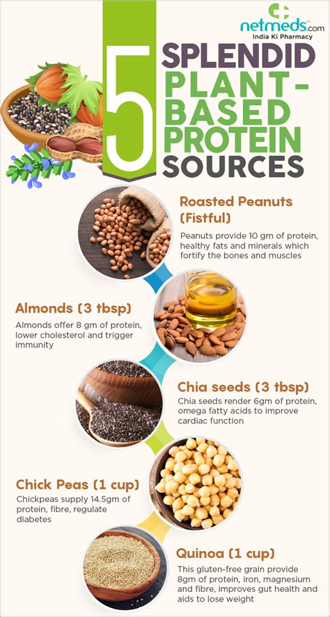 top 5 plant-based proteins