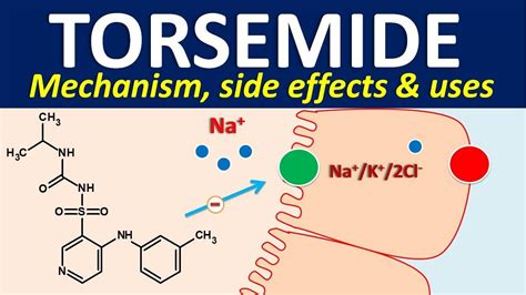 Torsemide Mechanism of Action