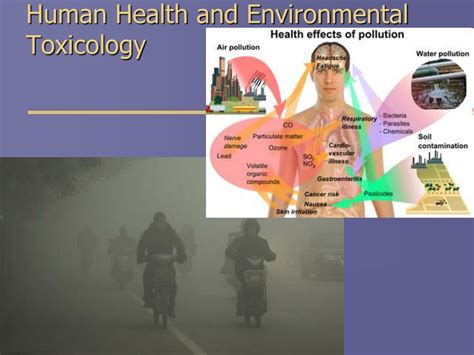 Toxicology and Human Health
