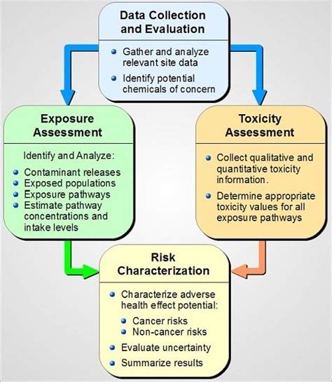 Toxicology and Risk Assessment