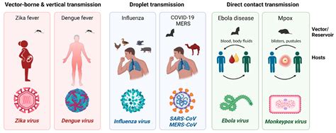 Transmission of Viral Infections