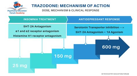 Trazodone Mechanism of Action