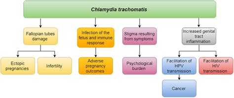 Treatment and Management of Chlamydia