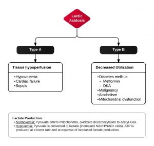 Treatment Options for Elevated Lactic Acid Levels