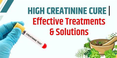 Treatment Options for High Creatinine Levels