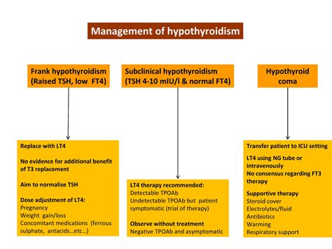 Treatment Options for Hypothyroidism