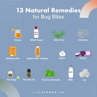 treatments for bug bites