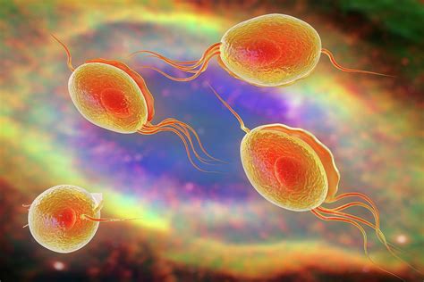 Trichomoniasis