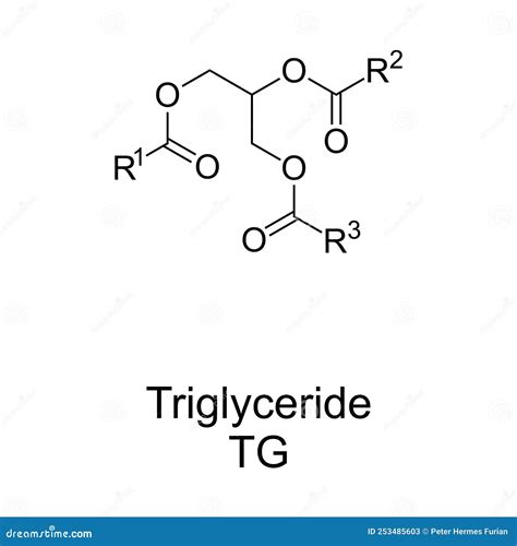 Triglycerides