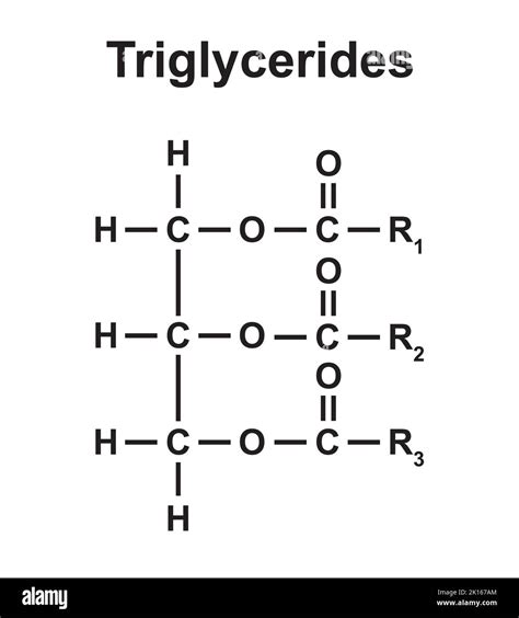 Triglycerides