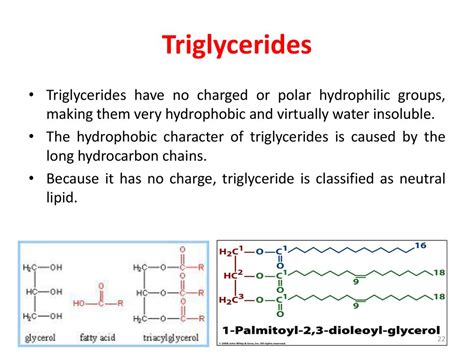 Triglycerides