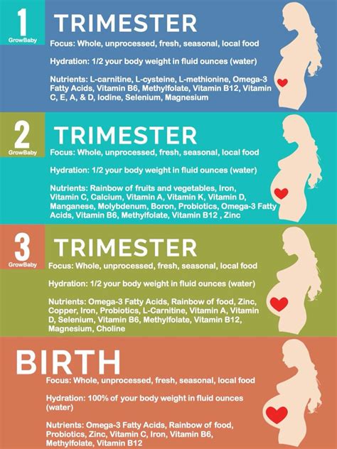 trimester guidance