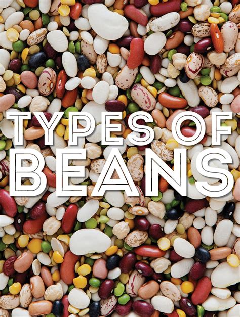 types of beans
