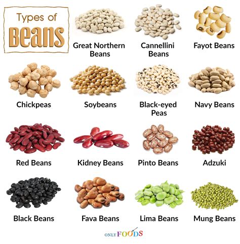 Types of Fiber in Beans