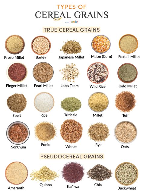 Types of grains