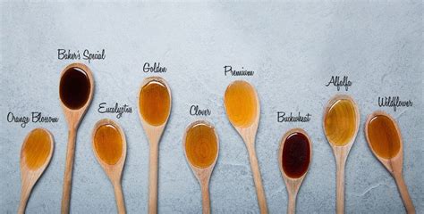 types of honey for cough