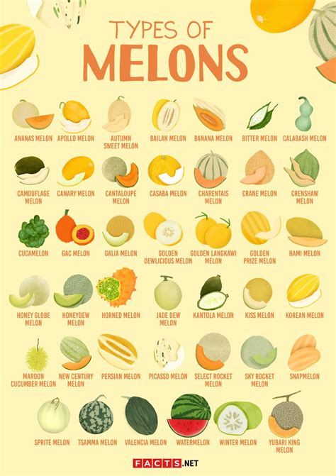types of melons
