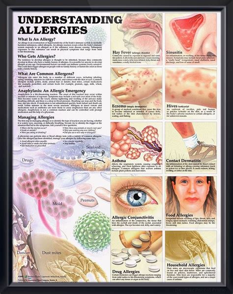 Understanding Allergies and Hay Fever