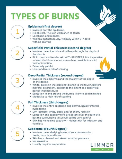 Understanding Burns