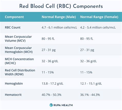 Understanding CBC Results