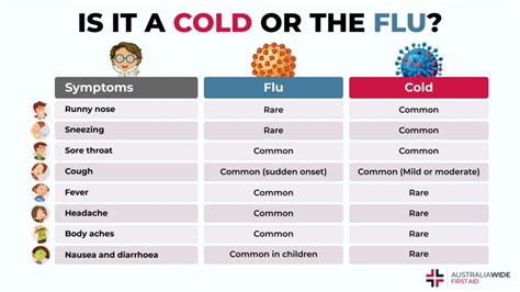 Understanding Cold and Flu Viruses