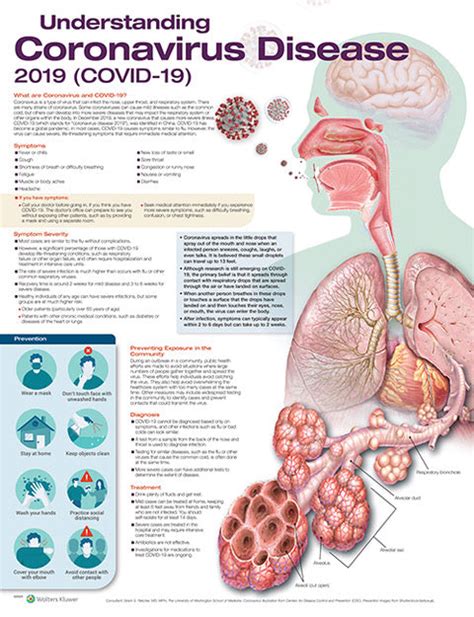 Understanding COVID-19 Severity