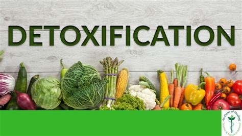 Understanding Detoxification