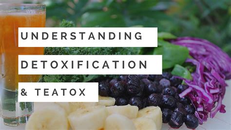 Understanding Detoxification