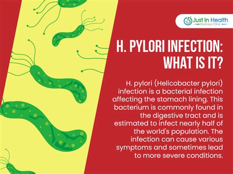 Understanding H Pylori Infections