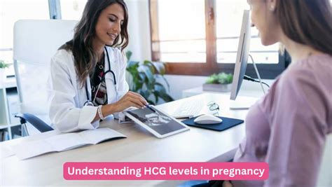 Understanding hCG Levels