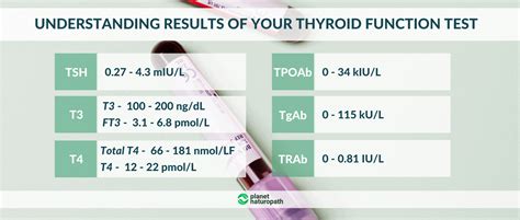 understanding hormone test results