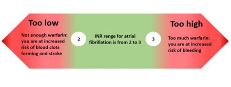 Understanding INR Levels