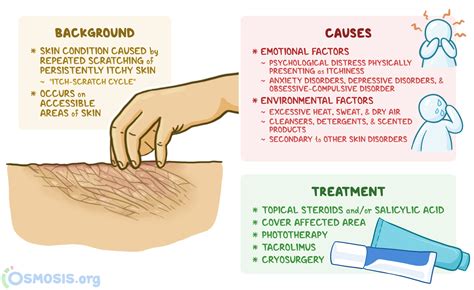 Understanding Lichen Simplex Chronicus