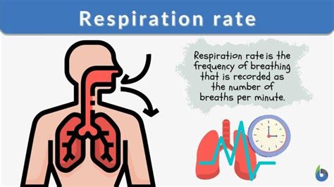 Understanding Pulse and Breathing Rate