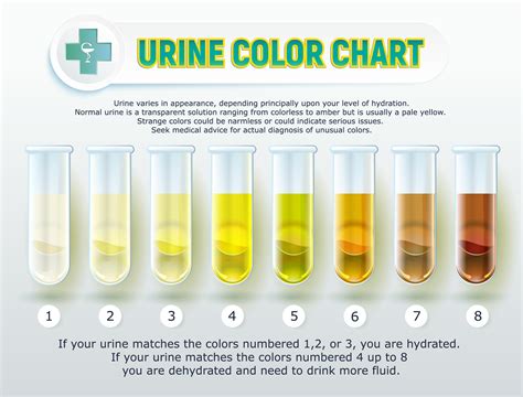 Urine Colour Indicates Dehydration Level