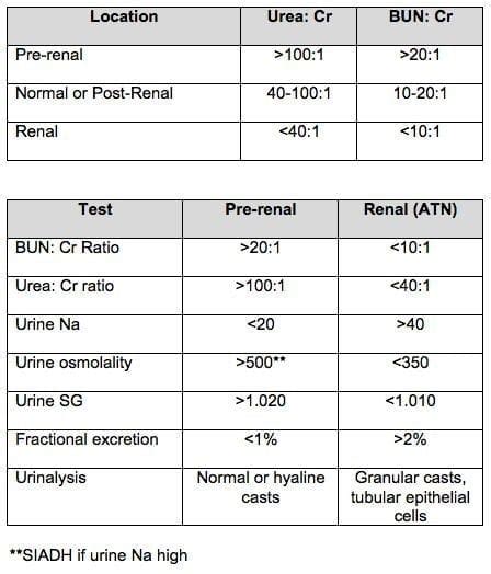Urine Creatinine Levels