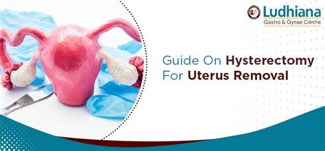 Uterus-Related Procedures and Treatments