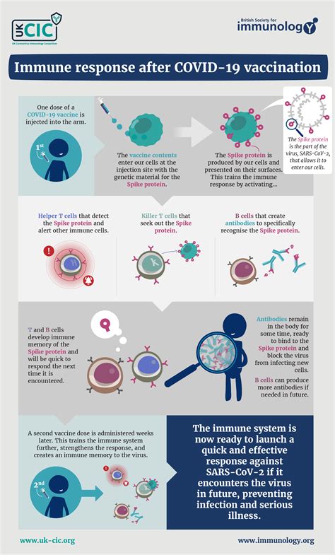 vaccination and immunity