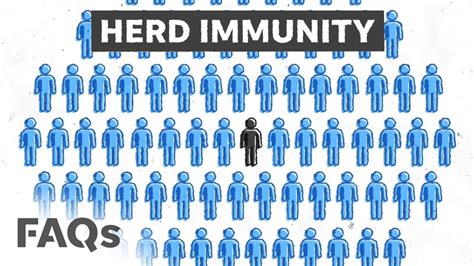 Vaccination provides herd immunity