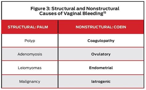 vaginal bleeding resources