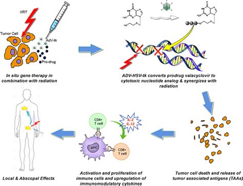 Valacyclovir Mechanism of Action