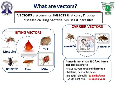 Vector-Borne Transmission