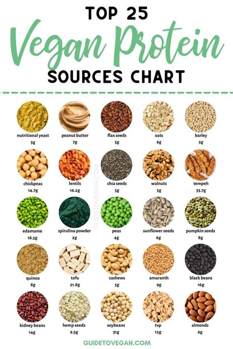 Vegan protein sources