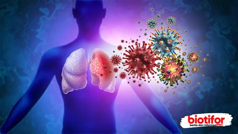 viral infections