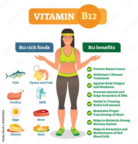 Vitamin B12 Benefits