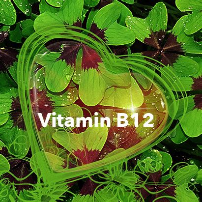 Vitamin B12 and Heart Health