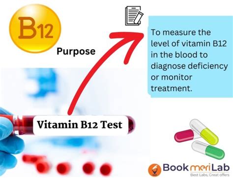 Vitamin B12 test results interpretation