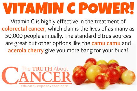 Vitamin C and Cancer Prevention