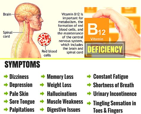 Vitamin deficiency and memory loss